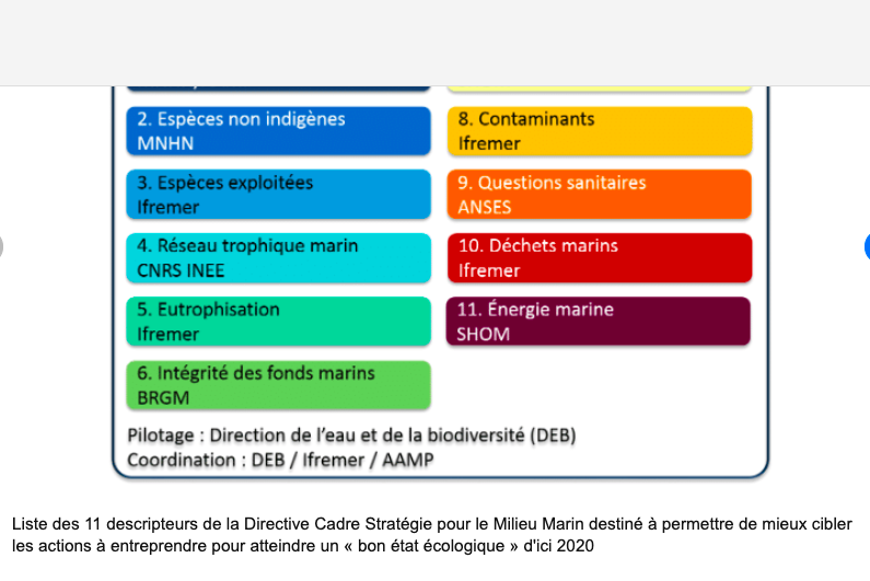 Concertation : Directive cadre stratégie pour le milieu marin (DCSMM)