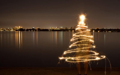 COP21 : Retour sur un déjeuner de grands chefs et bon Noël