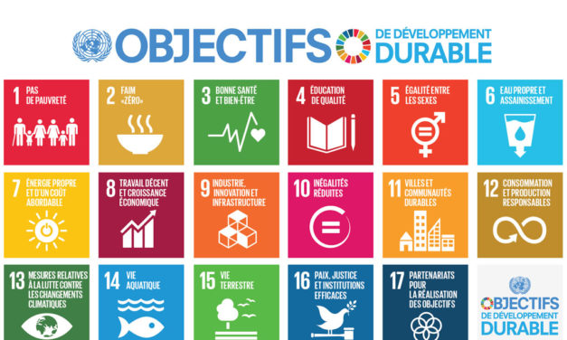 Energies du Futur, la COP21 continue à Abou Dhabi …