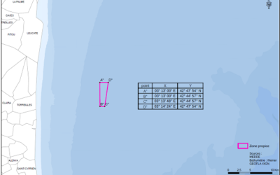 Eolien flottant : Quadran se positionne avec deux types de flotteurs