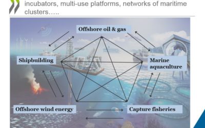 CORICAN : Le navire amiral de la R&D maritime sans pilote