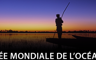 8 juin : Journée mondiale de l&rsquo;océan