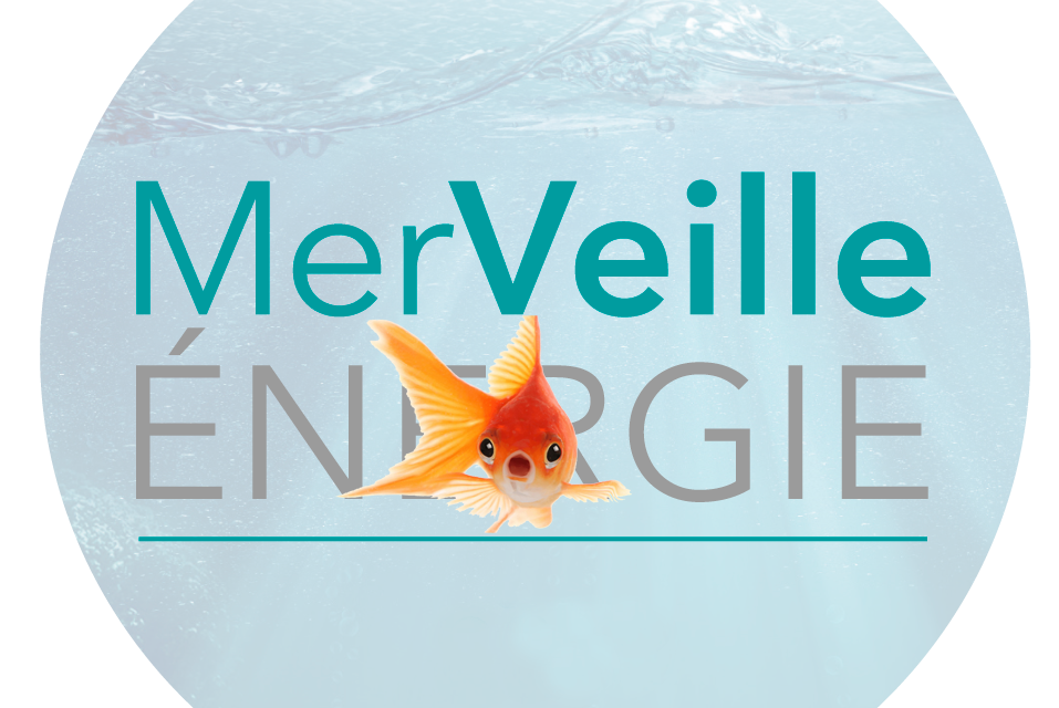 MerVeille Energie – Derniers jours pour profiter de l’abonnement au tarif préférentiel