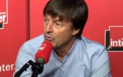 Nicolas Hulot pour la réduction du temps d’installation des éoliennes en mer