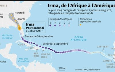 Les éoliennes Vergnet GEV MP C ont résisté à l’ouragan IRMA