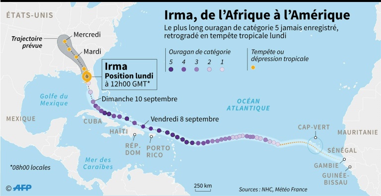 IRMA