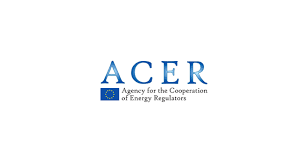 Logo ACER