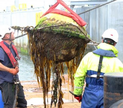 Le Biofouling sur les hydroliennes : deux sujets de recherche sont lancés