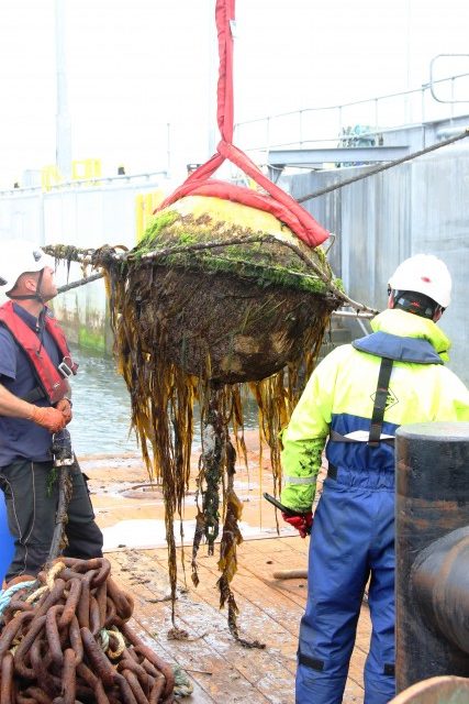 Le Biofouling sur les hydroliennes : deux sujets de recherche sont lancés