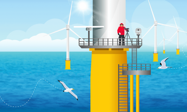 ORJIP – Bird Collision Avoidance Study