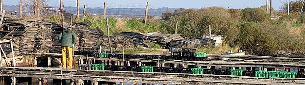 « Génération Océan » : Un programme pour « maritimer » la société française