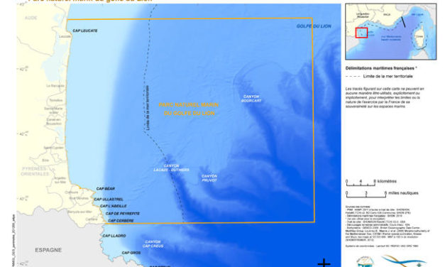 « Eoliennes flottantes du golfe du Lion » annonce ses prochaines étapes de développement