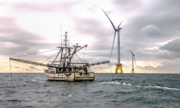 First U.S. Offshore Wind Developer to Adopt Plan to Prevent Impacts on Fishing Gear