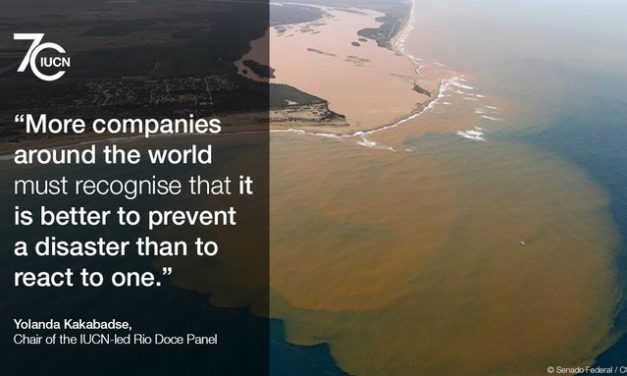 L’UICN France et l&rsquo;ADEME renouvellent leur partenariat