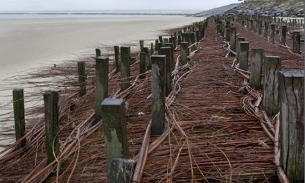 Dispositif anti erosion en baie dAuthie sur la cote dOpale EDM 13 09 2018