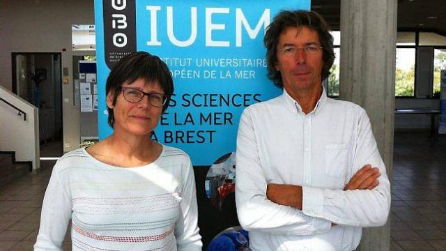 anne marie treguier la tete de liuem