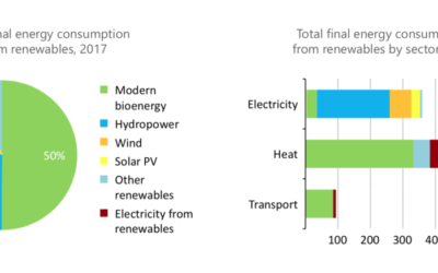 EDF, Engie, Kering, Danone… signent un courrier pour les ministres européens de l’environnement