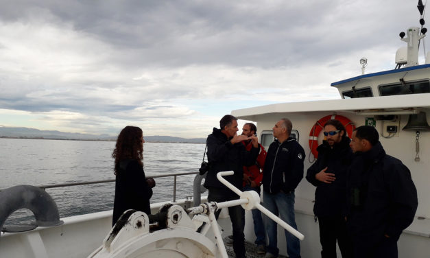 Le consortium Engie-EDPR-CDC saisie l&rsquo;AE pour le projet du Golfe du Lion