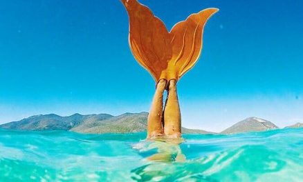 Inscriptions ouvertes pour la session de l’Ecole thématique sur les EMR