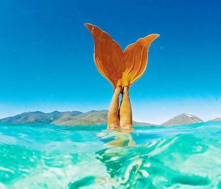 Inscriptions ouvertes pour la session de l’Ecole thématique sur les EMR