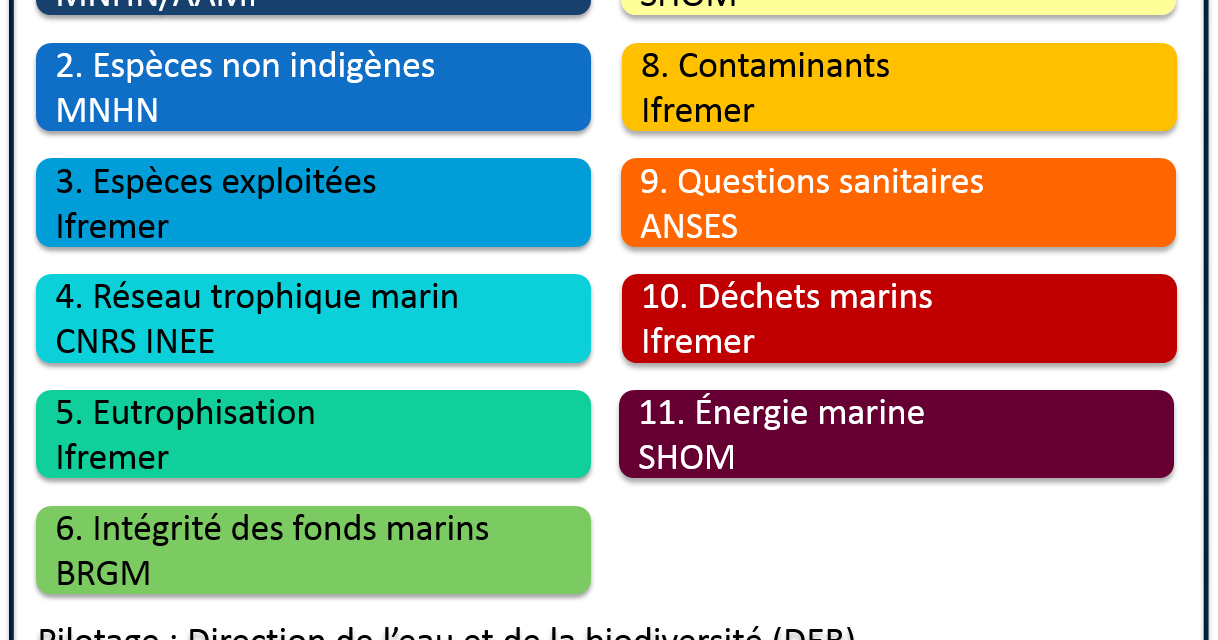 La France rappelée à l’ordre par la commission européenne pour l’état écologique des eaux marines