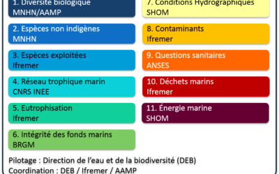 La France rappelée à l’ordre par la commission européenne pour l’état écologique des eaux marines