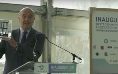 Juppé, Mézard, Pillet au Conseil Constitutionnel en mars prochain