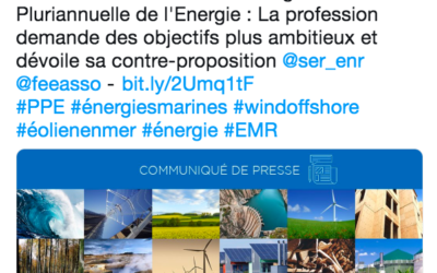 Sommes-nous face à une PPE sous le vent pour le Gouvernement ?