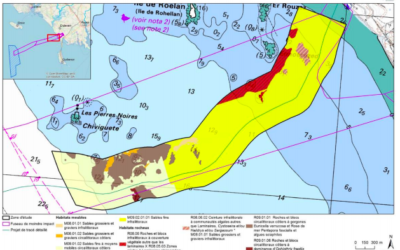Shell sort du projet Eolfi Groix-Belle-Ile, sans remettre en question ses candidatures pour les appels d’offres A04 et A05