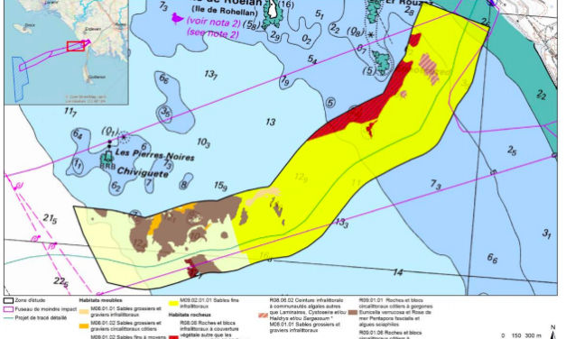 Shell sort du projet Eolfi Groix-Belle-Ile, sans remettre en question ses candidatures pour les appels d’offres A04 et A05
