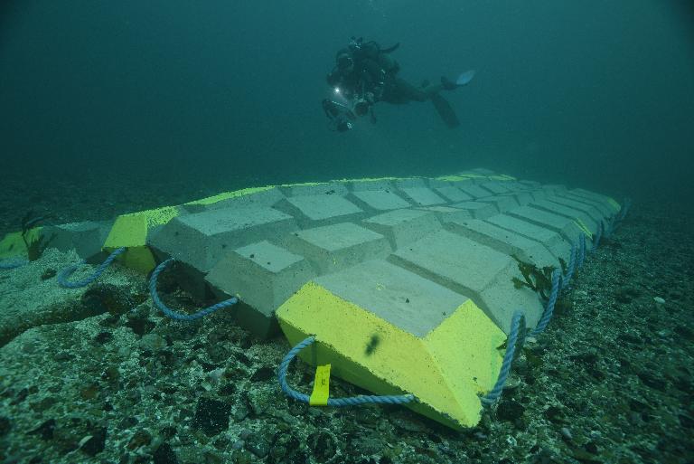 Nouvelles mesures sur l’impact des câbles sous-marins