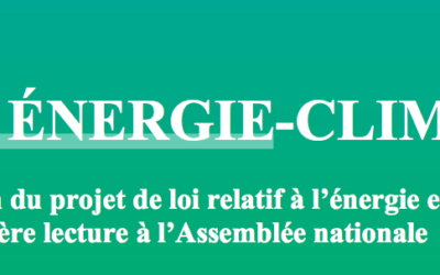 Projet de loi énergie climat 3 : « La PPE passera de 750 MW à 1 GW / an pour l’éolien en mer :