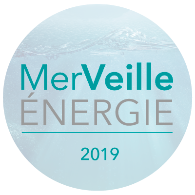 LOGO Merveille