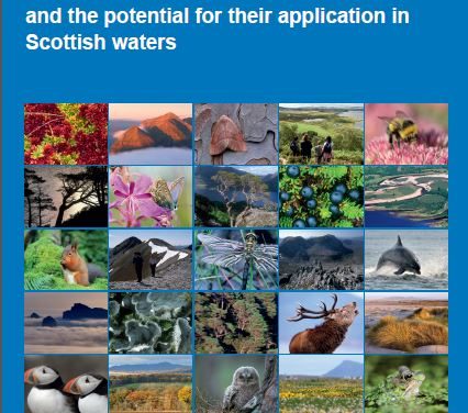 Eolien en mer et explosifs : Analyse des systèmes de réduction des nuisances sonores