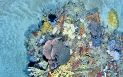 Océan et changement climatique, résultats et perspectives