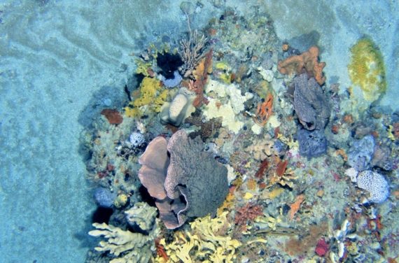 Océan et changement climatique, résultats et perspectives