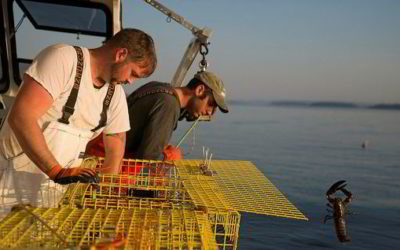 Etats-Unis : Opérateurs – pêcheurs – administration, un dialogue qui « pêche » mais avance quand même