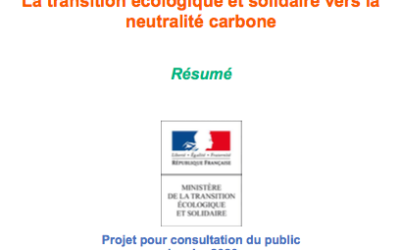 La stratégie bas-carbone et les budgets carbone