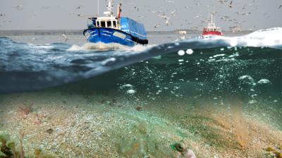 AMI : Analyse des pressions sur les habitats marins des sites Natura 2000 pour faire évoluer les pratiques