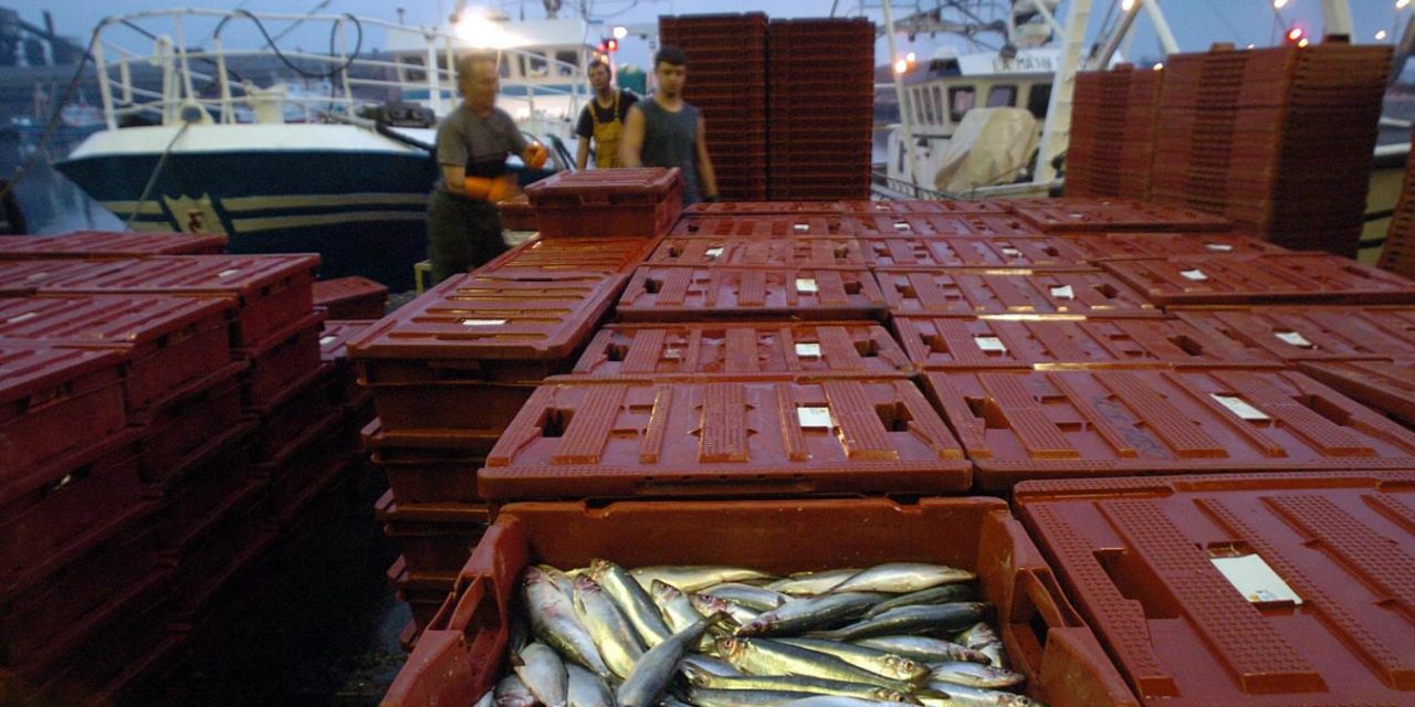 Covid 19 : L’économie de la mer va s’adapter ! – Partie 2 – Pêche
