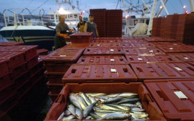 Covid 19 : L’économie de la mer va s’adapter ! – Partie 2 – Pêche