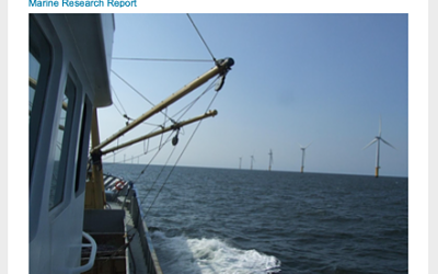 Rapports entre la pêche et l’éolien en mer au Royaume-Uni