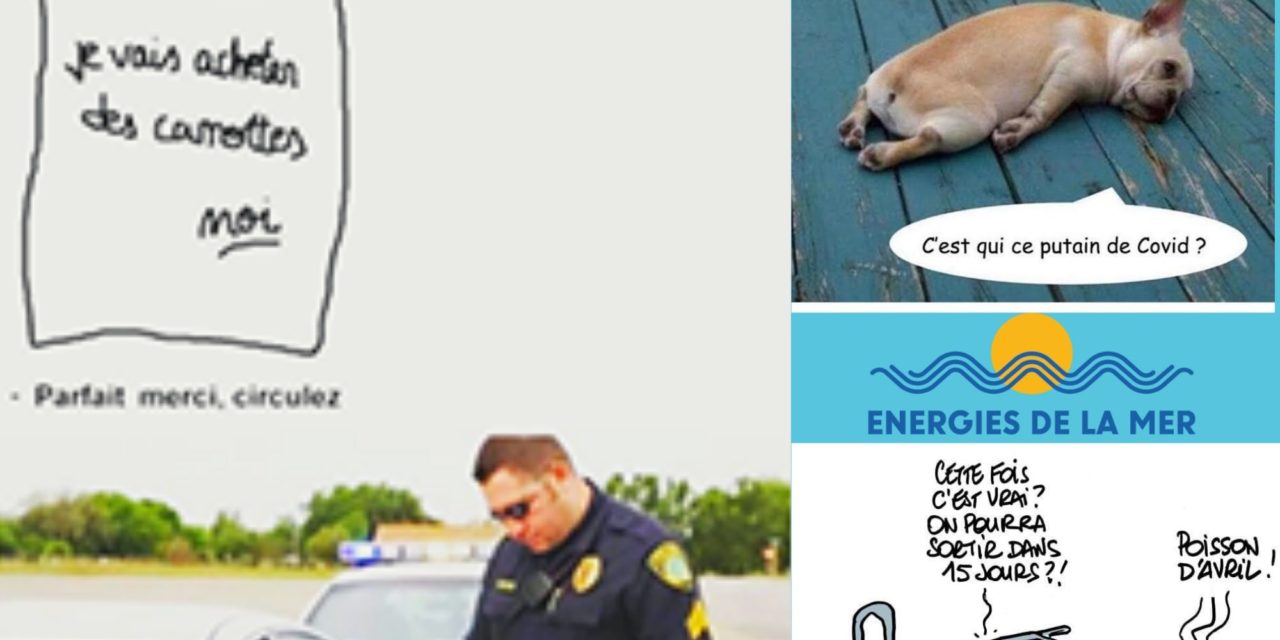 Covid 19 : Festival – Partie 11