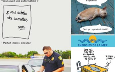 Covid 19 : Festival – Partie 11