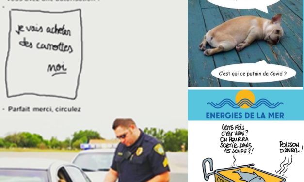 Covid 19 : Festival – Partie 11