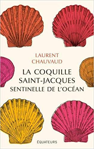 coquille saint jacques