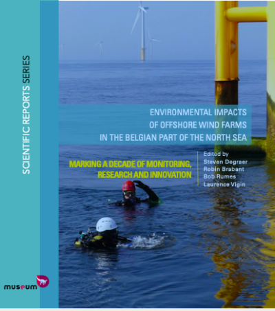 Eolien en mer : Rapport 2019 de l’Institut Royal des sciences naturelles de Belgique