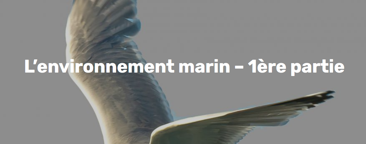 CPDP Bretagne Sud éoliennes flottantes : « L’environnement marin – 1ère partie » au Palais des Congrès de Lorient à 18h