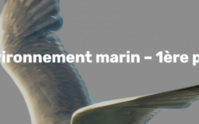 CPDP Bretagne Sud éoliennes flottantes : « L’environnement marin – 1ère partie » au Palais des Congrès de Lorient à 18h