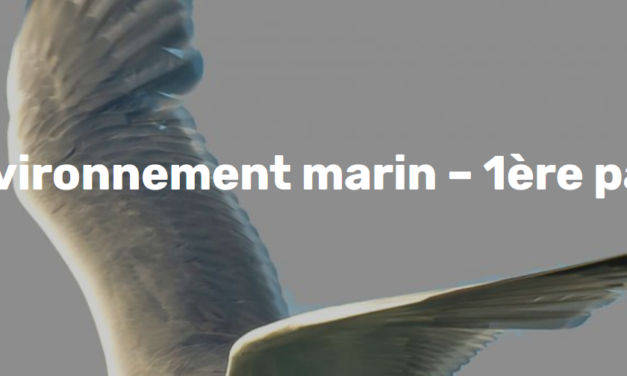 CPDP Bretagne Sud éoliennes flottantes : « L’environnement marin – 1ère partie » au Palais des Congrès de Lorient à 18h